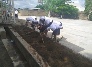 Read more about the article Caring for the Earth