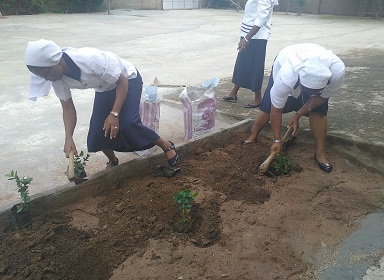 Caring for Mother Earth